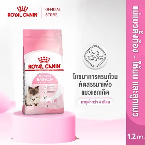 RY Canin Babycat - 1.2kg