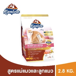 KNV Mother Cat & Kitten - 2.8kg