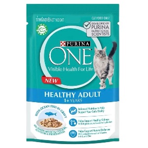 Purina One Pouch Healthy Adult