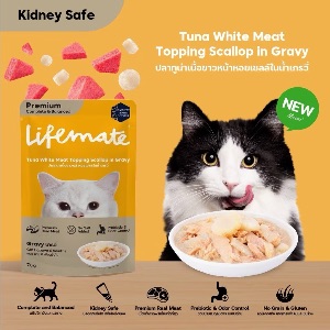 Lifemate CW1 ปลาทูน่าเนื้อขาวหน้าหอยเชลล์ในน้ำเกรวี่
