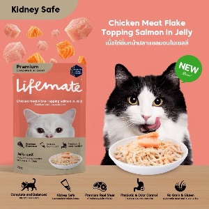 Lifemate CW5 เนื้อไก่ชิ้นหน้าปลาแซลมอนในเยลลี่