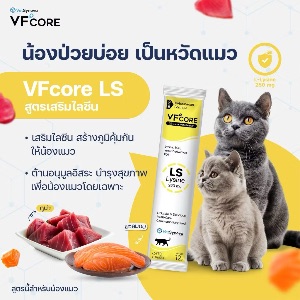 VS VFcore L-Lysine