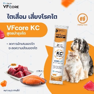 VS VFcore Kidney Care