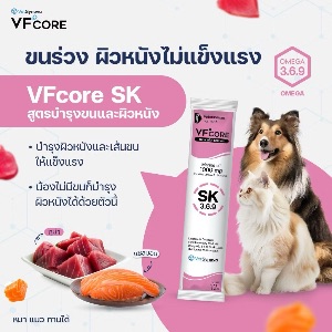 VS VFcore Skin Support