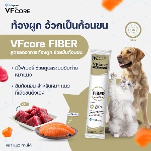 VS VFcore Fiber