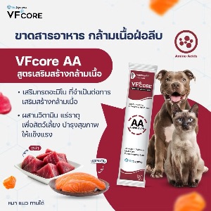 VS VFcore Amino Acids