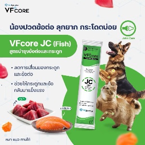 VS VFcore Joint Care