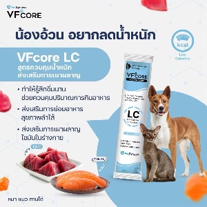 VS VFcore Low Calories