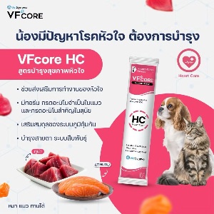 VS VFcore Heart Care
