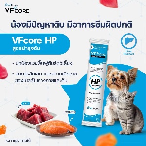 VS VFcore Liver Support