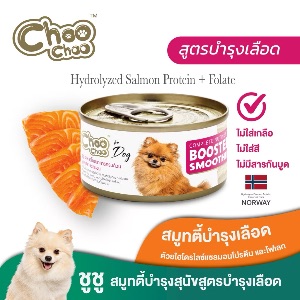 ChooChoo สมูทตี้บำรุงสุนัขปลาแซลมอน