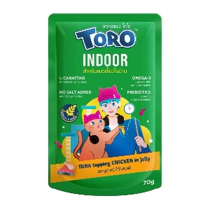 Toro TR55 Indoor
