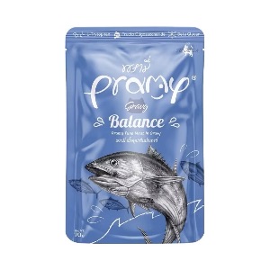 Pramy GR1 Balance