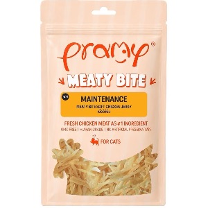 Pramy S01 Maintenance