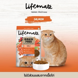 Lifemate GF Salmon - 1.2kg
