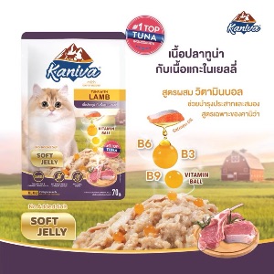KNV เนื้อทูน่ากับเนื้อแกะในเยลลี่