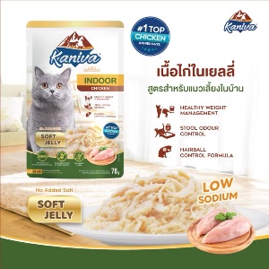 KNV Indoor เนื้อไก่ในเยลลี่