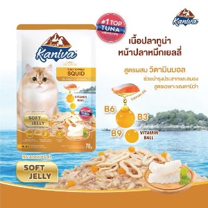KNV เนื้อทูน่าหน้าปลาหมึกในเยลลี่