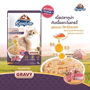 KNV เนื้อทูน่ากับเนื้อแกะในเกรวี่