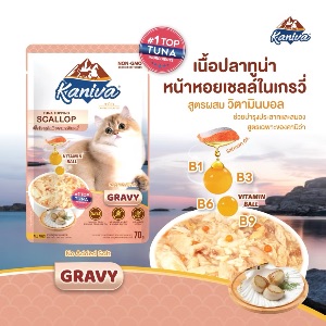 KNV เนื้อทูน่าหน้าหอยเชลล์ในเกรวี่