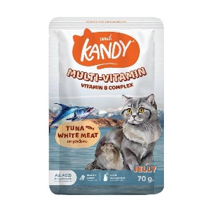 Kandy J04 Multi-Vitamin