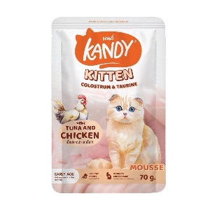 Kandy K02 Kitten
