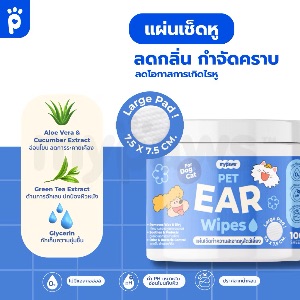 MP Ear Wipes