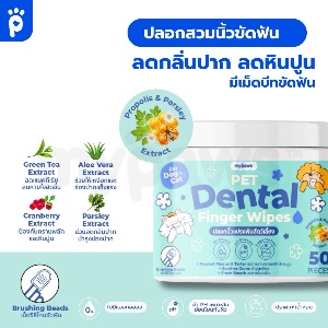 MP Dental Wipes