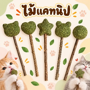 ไม้แคทนิป