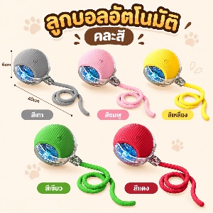 ลูกบอลอัตโนมัติคละสี