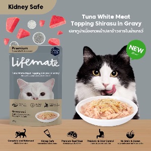 Lifemate CW3 ปลาทูน่าเนื้อขาวหน้าปลาข้าวสารในน้ำเกรวี่